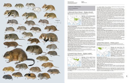 Handbook of the Mammals of the World no 7 - Rodents II -  Lynx 2017